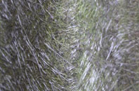 Knotbury fibreglass roof work